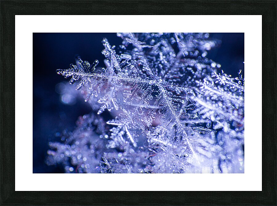 Flakes Picture Frame print