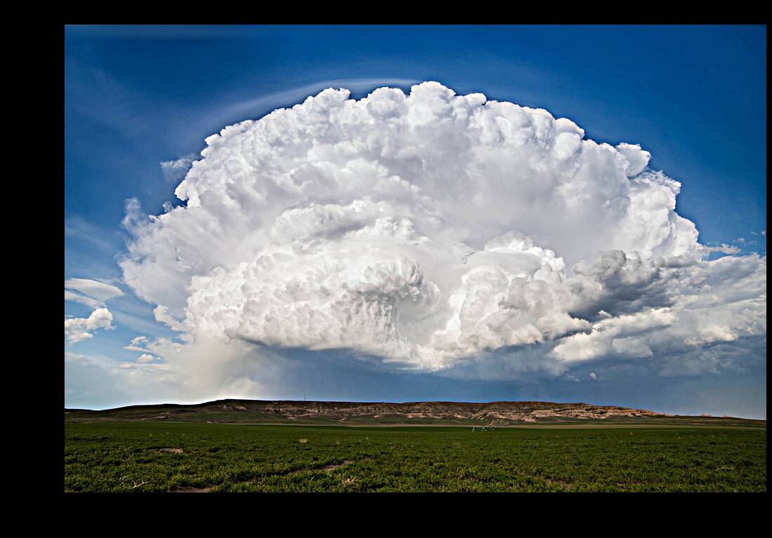 Open Storm Reproduction