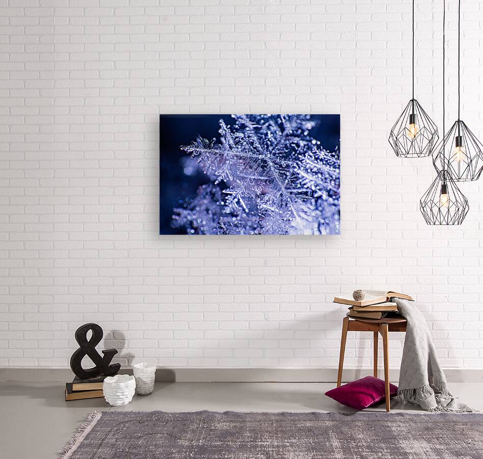 Flakes Reproduction