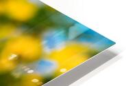 Flower Power HD Metal print