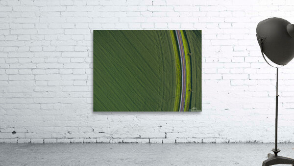 Highway 1 Wall Preview