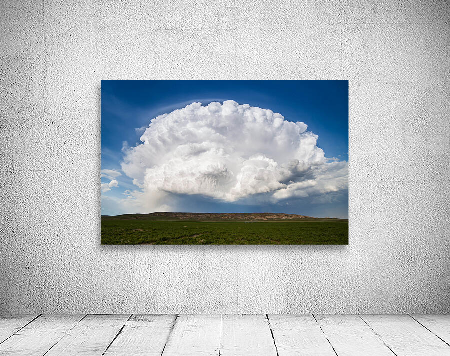 Open Storm  Wall Preview