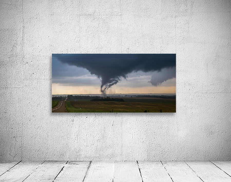 Pilger Overhead Wall Preview