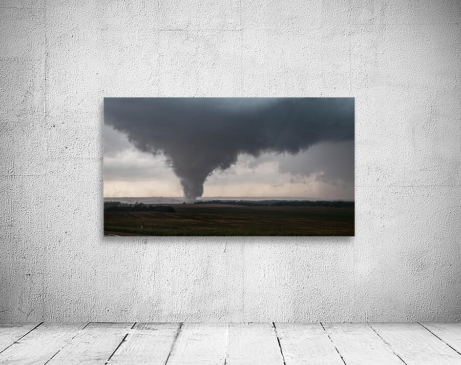 Pilger Close  Wall Preview