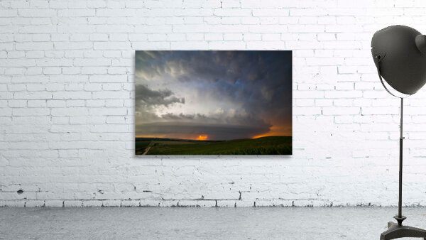 Burwell  Wall Preview