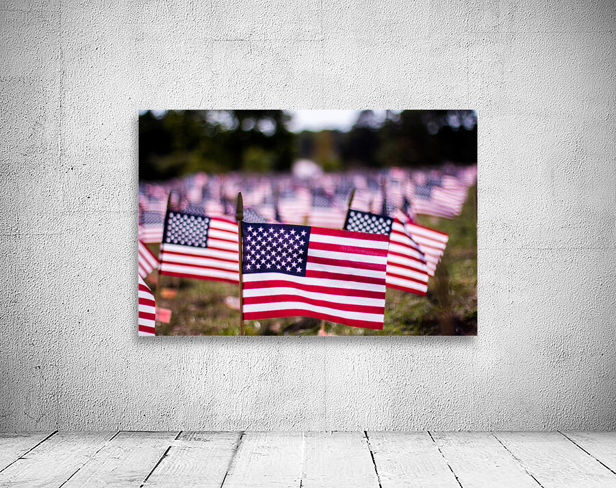 Memorial Park  Wall Preview