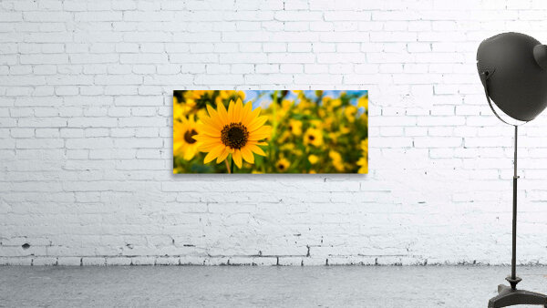 Flower Power Wall Preview