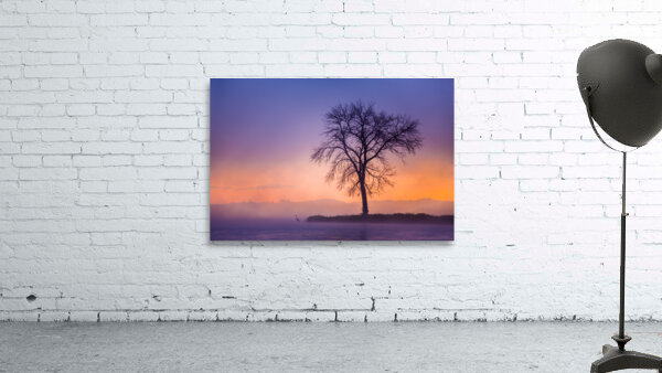 Blue Heron Wall Preview