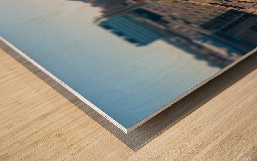 The Mall Tilt Shift Wood print