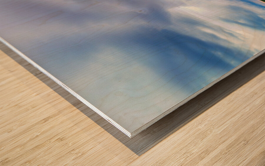 Beemer  Wood print