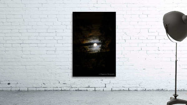 Moonrise Wall Preview