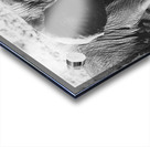 BW Ele2 Acrylic print