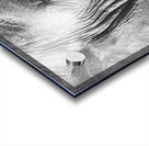 BW Ele3 Acrylic print