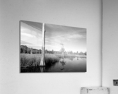 Pablo Marsh Acrylic Print