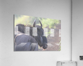Wildabeast 3 Acrylic Print