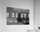 Wildabeast BW Acrylic Print