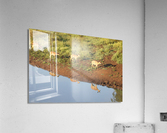 Reflection Acrylic Print