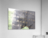 Elephant 2 Acrylic Print