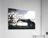 Giraffe Acrylic Print