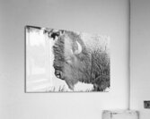 Buff4 Acrylic Print