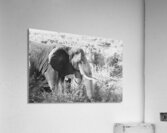 BW Ele2 Acrylic Print