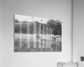 BW Deer Acrylic Print