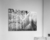 BW Rhino Acrylic Print