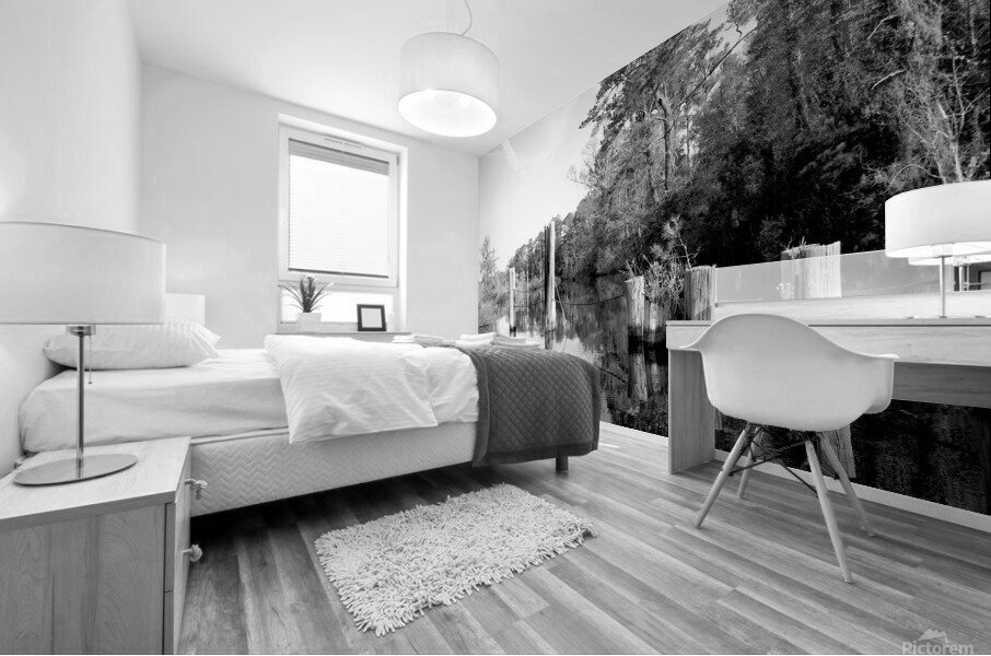 Pablo Marsh Dock Mural print