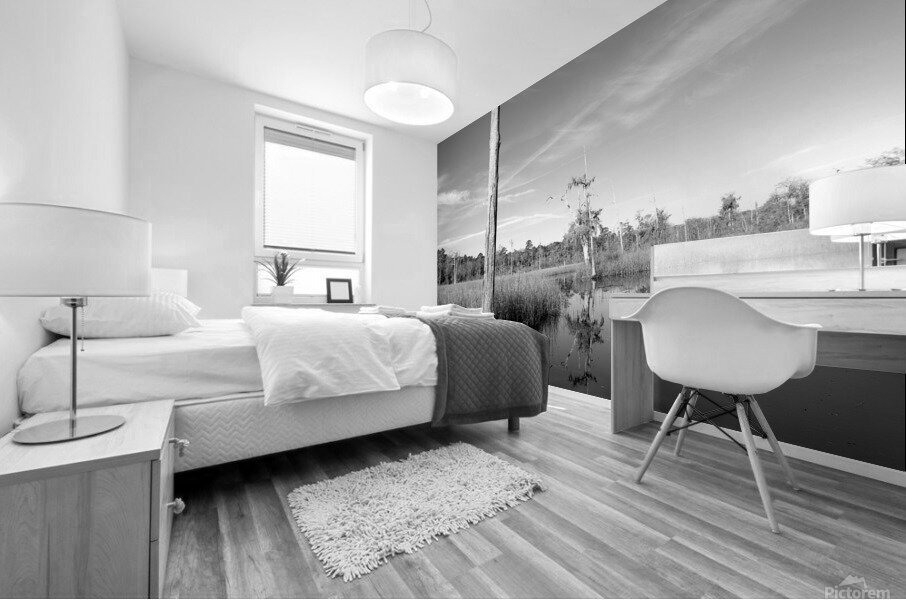 Pablo Marsh Mural print