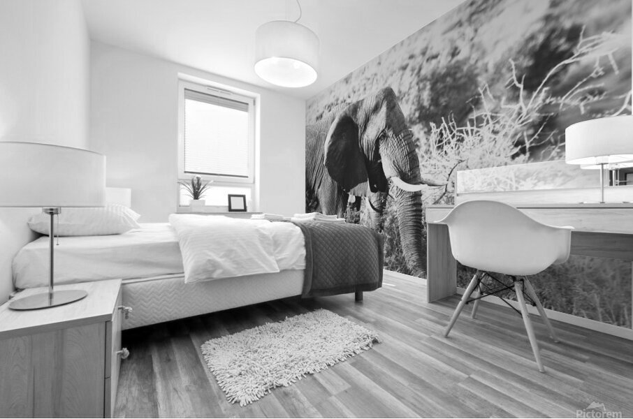 BW Ele2 Mural print