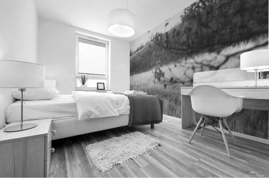 BW Deer Mural print