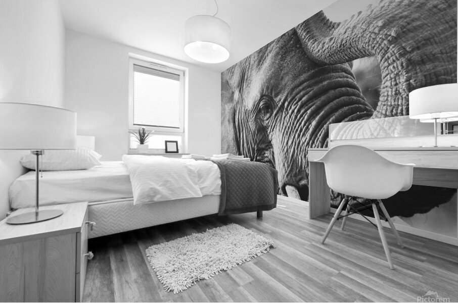 BW Ele3 Mural print