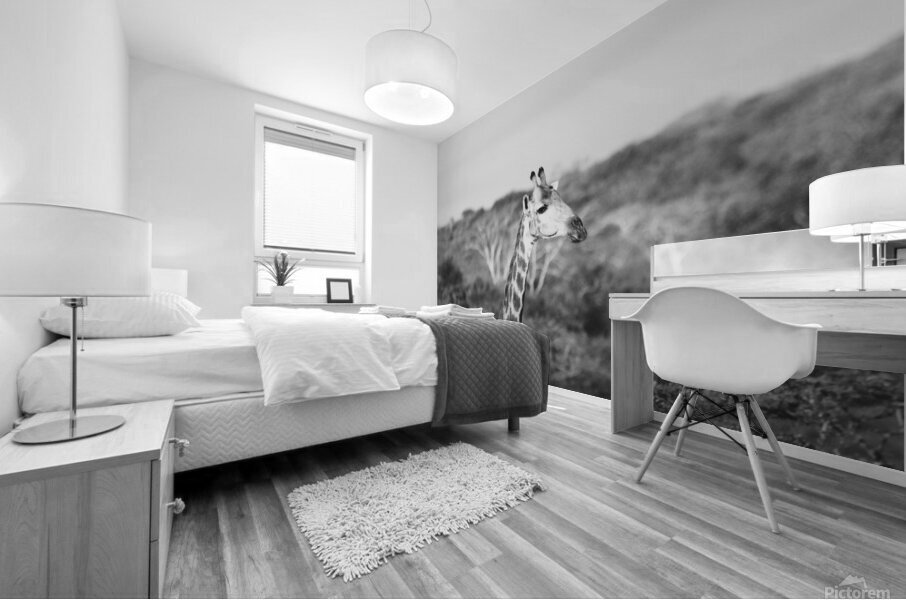 BW Giraffe Mural print