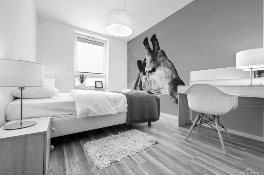 BW Giraffe3 Mural print