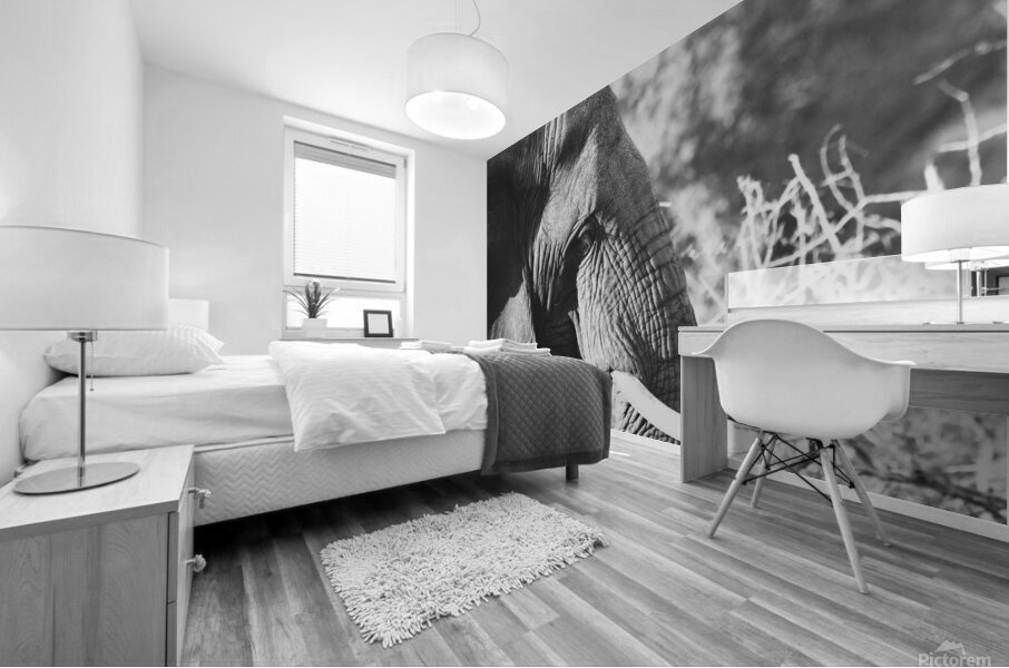 BW Ele Mural print