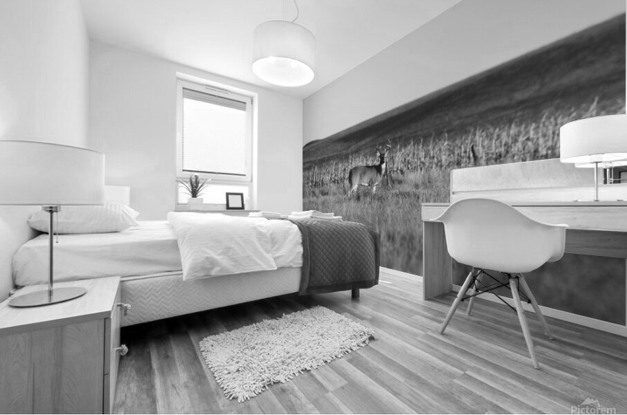 BW Deer2 Mural print