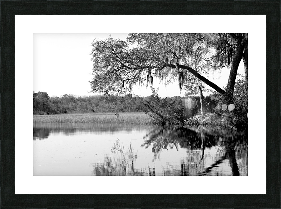 Pablo Tree Picture Frame print