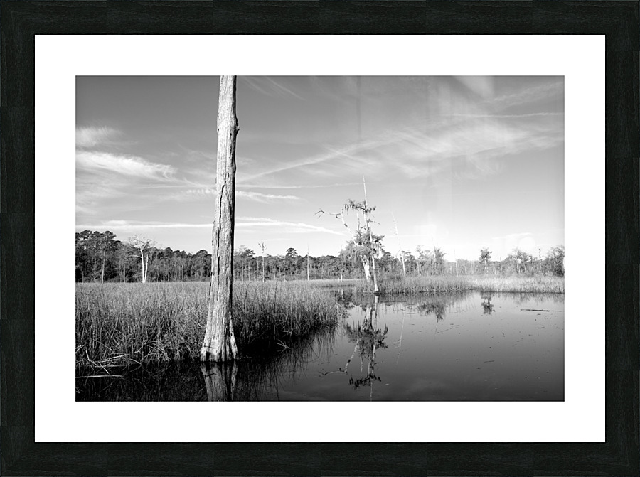 Pablo Marsh Picture Frame print
