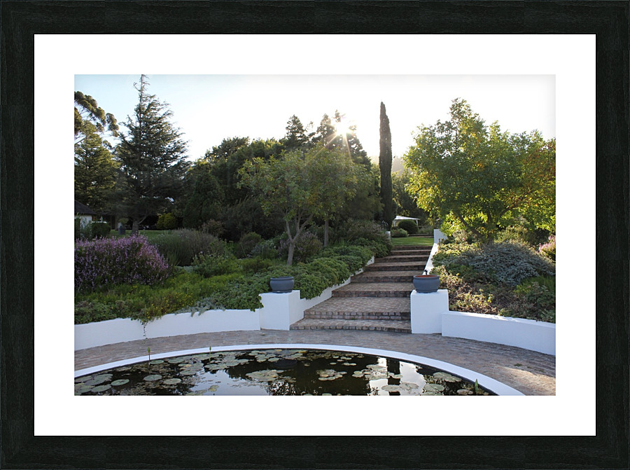 Fountain 2  Picture Frame print