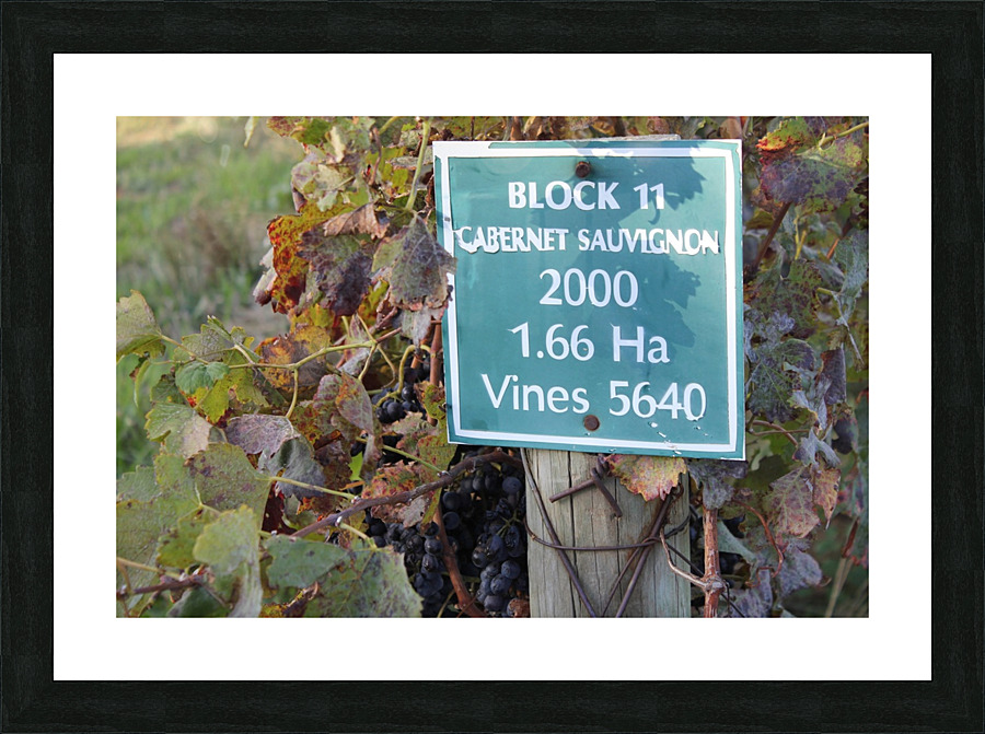 Grapes Picture Frame print