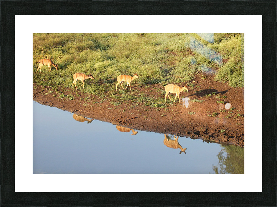 Reflection Picture Frame print