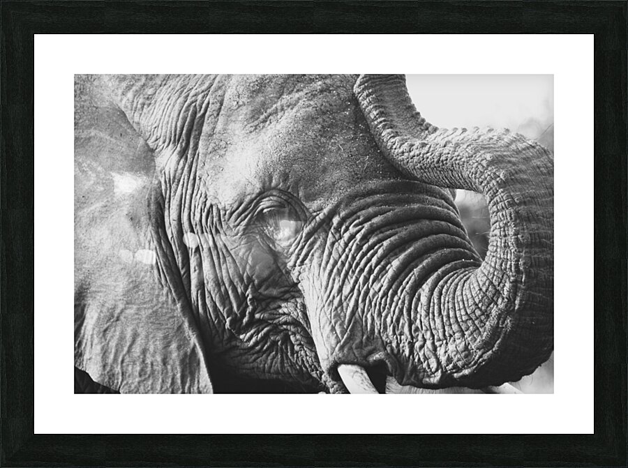 BW Ele3 Picture Frame print
