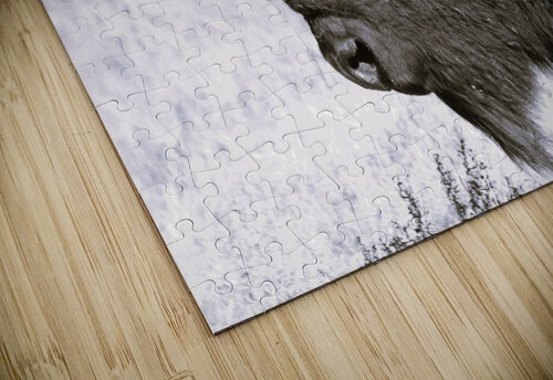 Buff3 Hells Bells puzzle