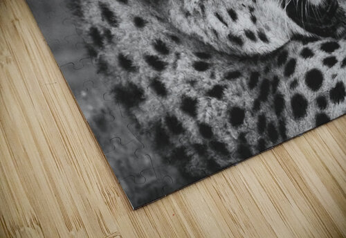 BW Cheetah Hells Bells puzzle