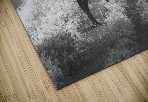 BW wild Hells Bells puzzle
