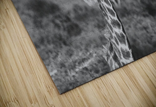 BW Giraffe Hells Bells puzzle