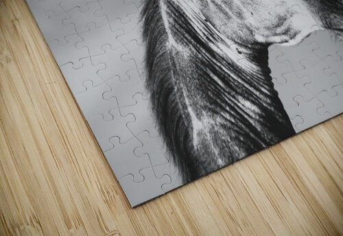 BW Giraffe3 Hells Bells puzzle
