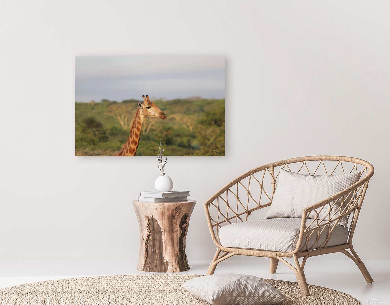 Giraffe 5 Reproduction