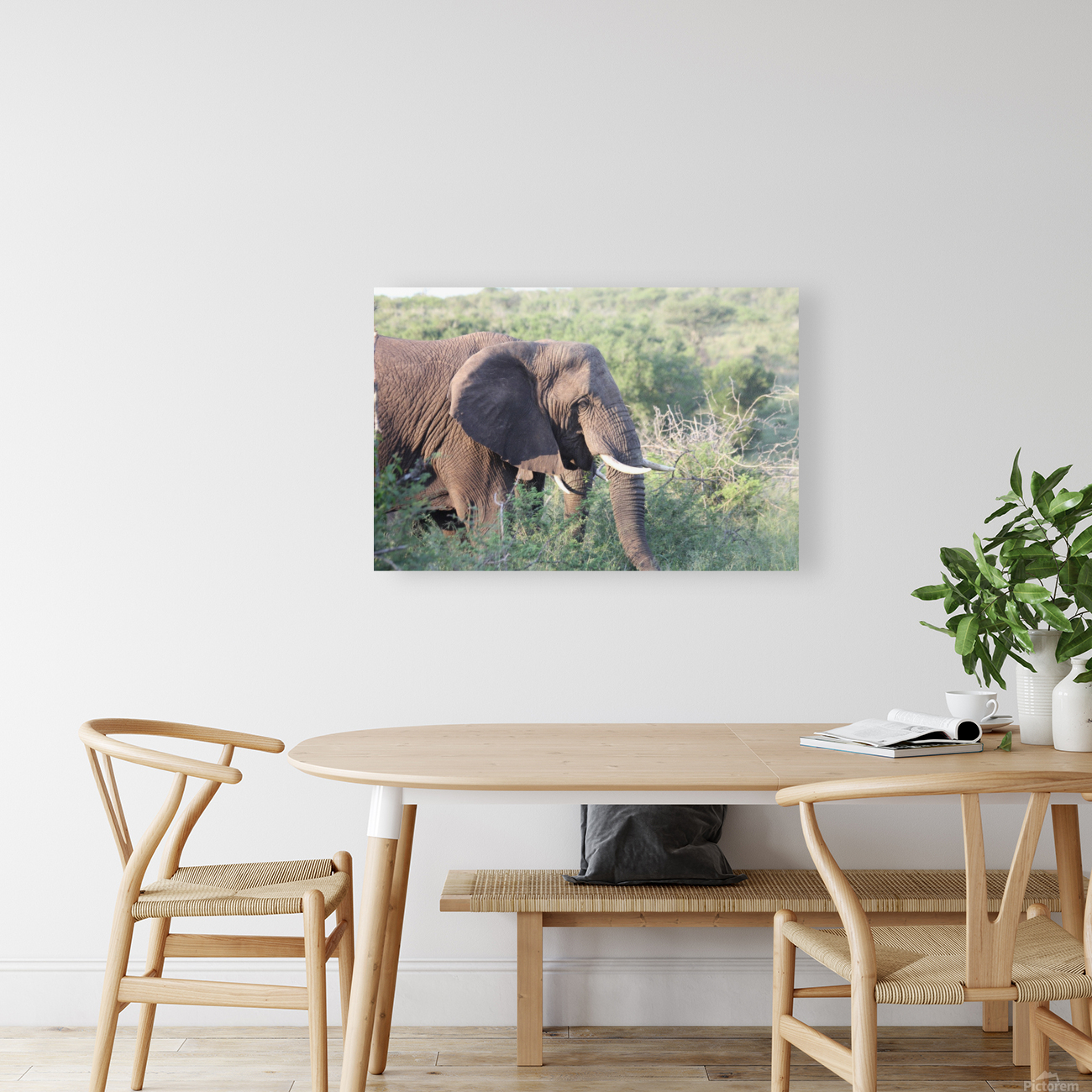 Elephant 4 Reproduction