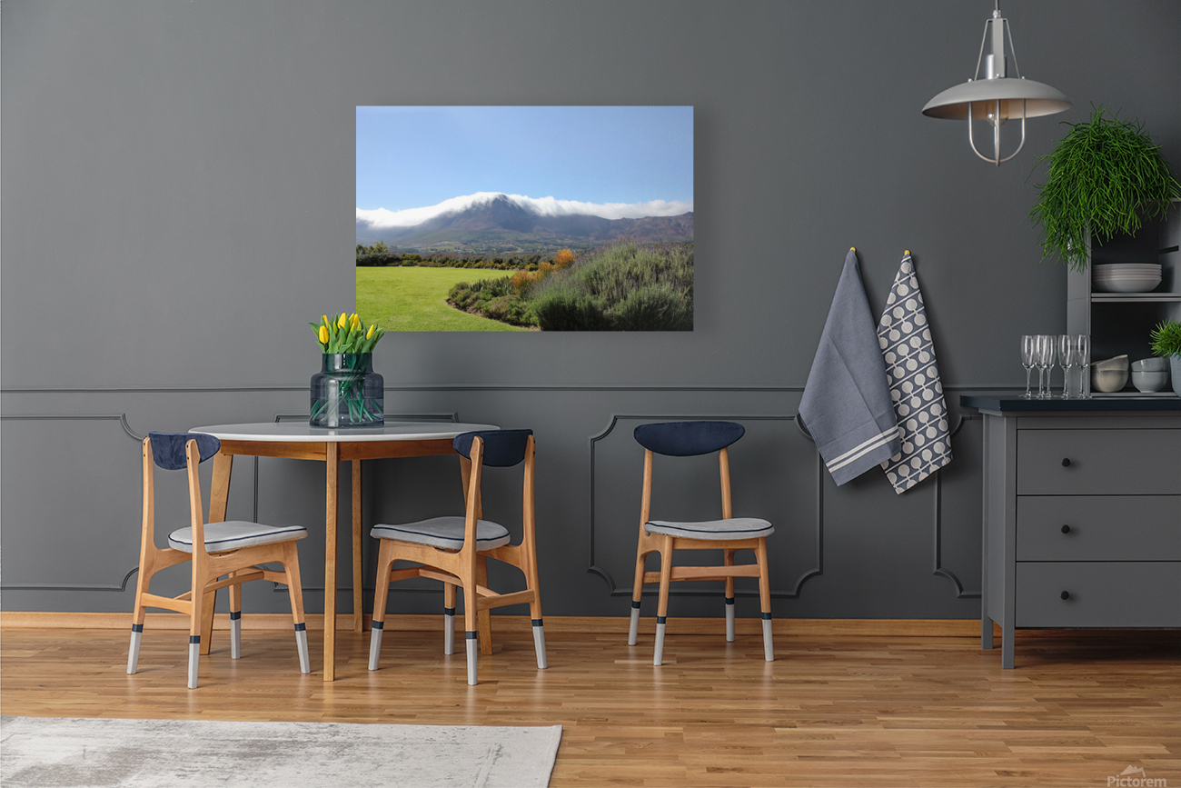 SA Mountains Reproduction
